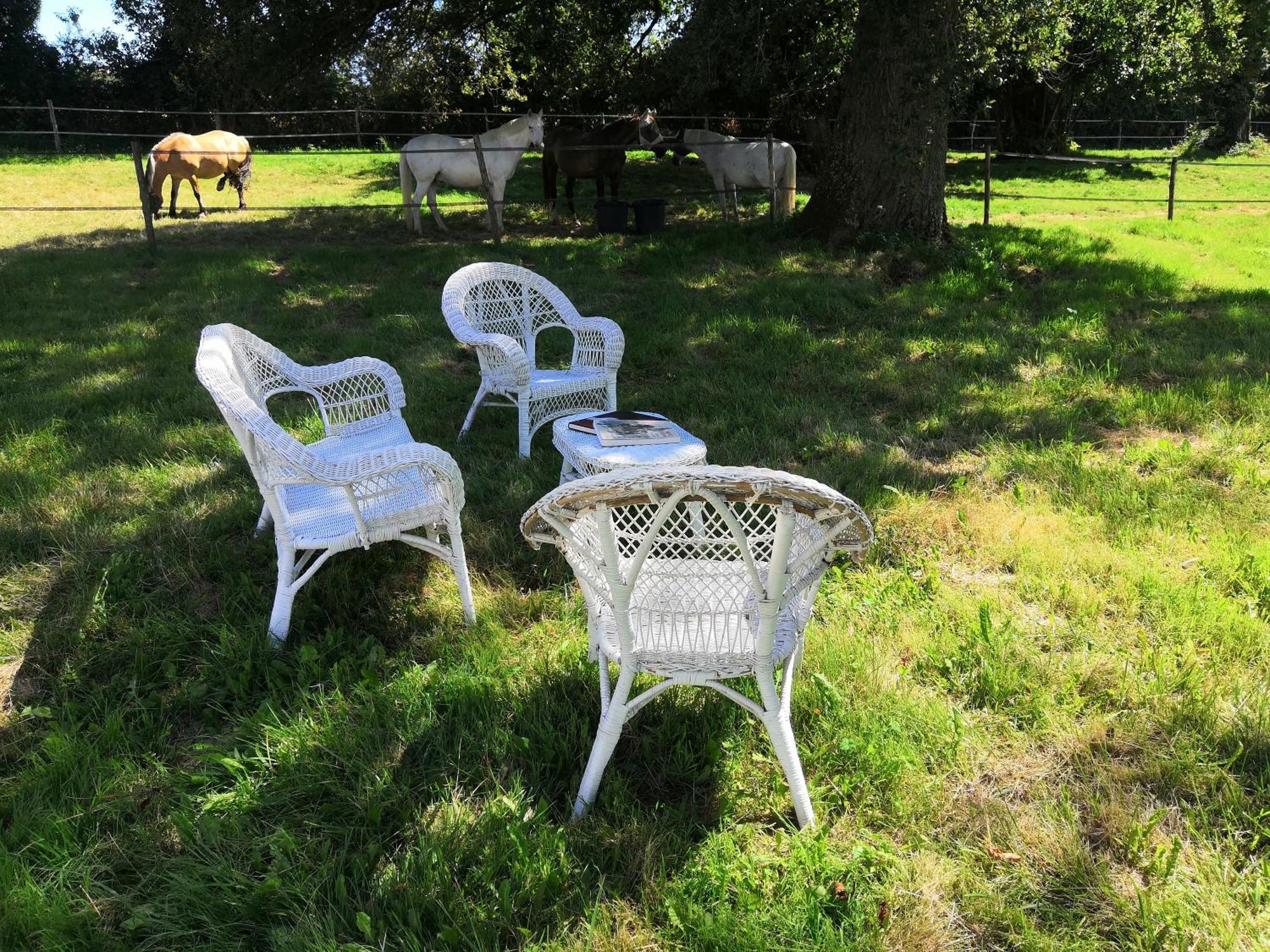 Bed and Breakfast La Marquise Penchee Orsennes Exterior foto